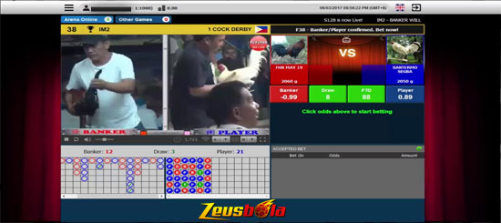 Taruhan Judi Bola, Live Casino, Poker, Sabung Ayam Online