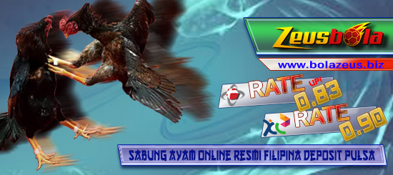 Sabung Ayam Online Resmi Filipina Deposit Pulsa