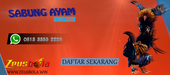 Agen Sabung Ayam Online Digmaan Terpercaya Saat Ini