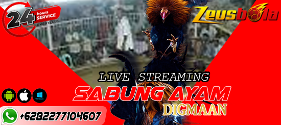 Agen Sabung Ayam Digmaan Online 24Jam