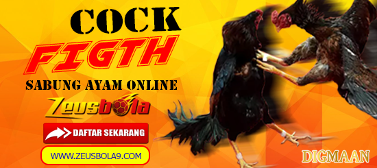 Daftar Digmaan Sabung Ayam Online Live Streaming