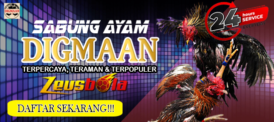 Digmaan Sabung Ayam Online 24Jam