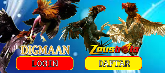 Link Login Digmaan Sabung Ayam Terbaru